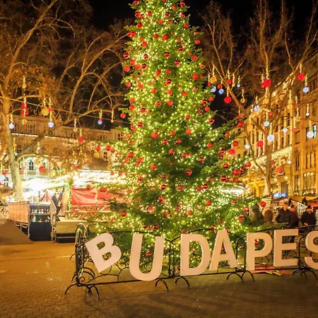 Carina Downtown Spot Apartament *