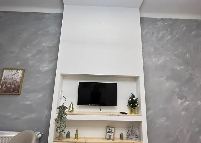 Apartament Carina Downtown Spot